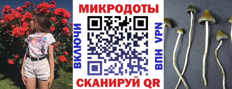 Псилоцибиновые грибы прущие грибы  Полевской 
